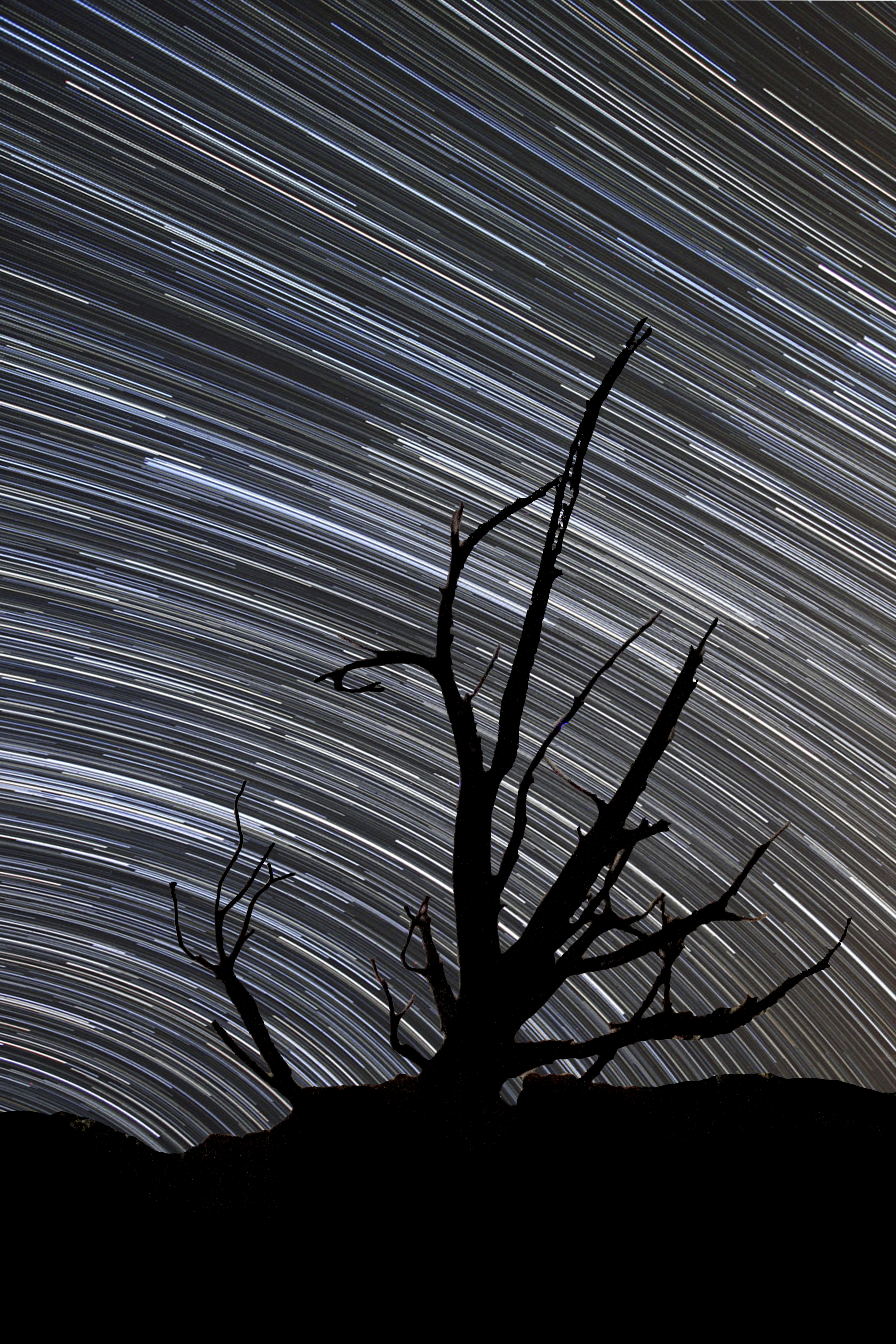 Long-exposure star trails photography.